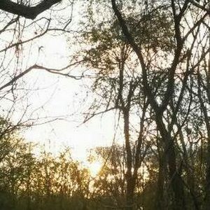 Meet your Posher, Eb